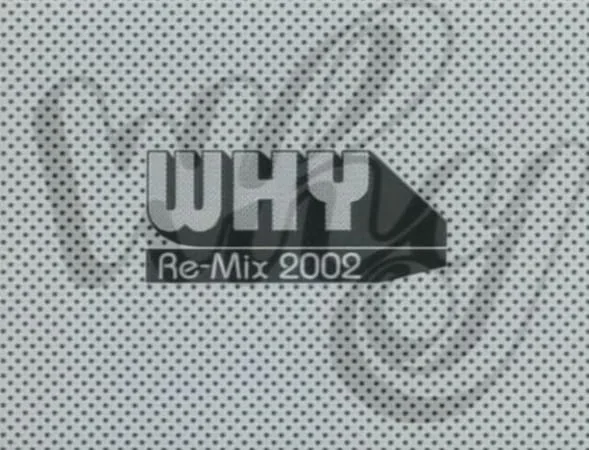 Постер: Причина: Ремикс 2002