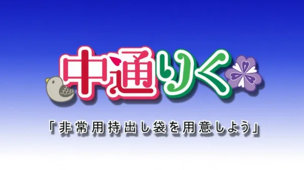 Постер: Nakado Riku Animation: Hijouyou Mochidashi Bukuro wo Youi Shiyou