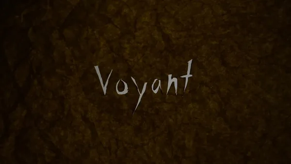 Постер: Voyant