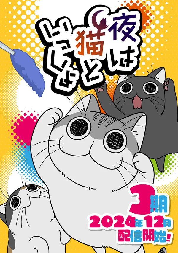 Постер: Вечера с кошкой 3