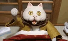 Постер: Котацунэко ONA