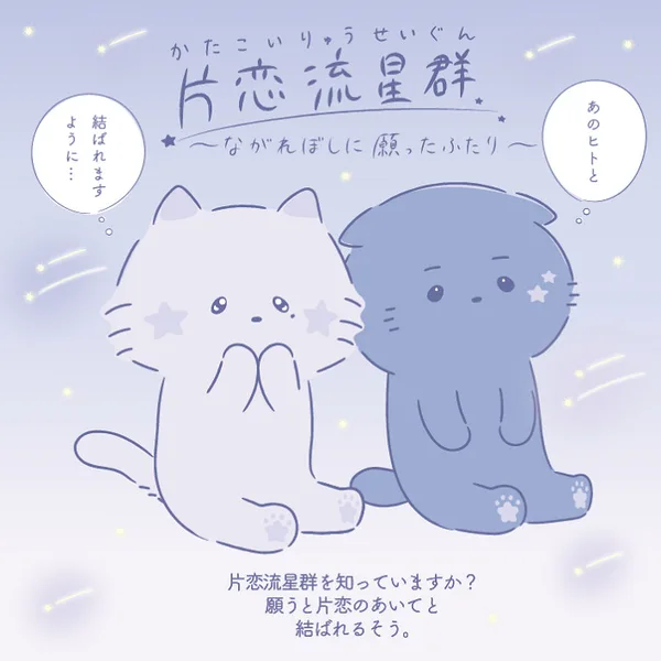 Постер: Katakoi Meteor Shower