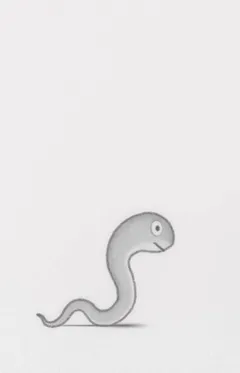 Змея